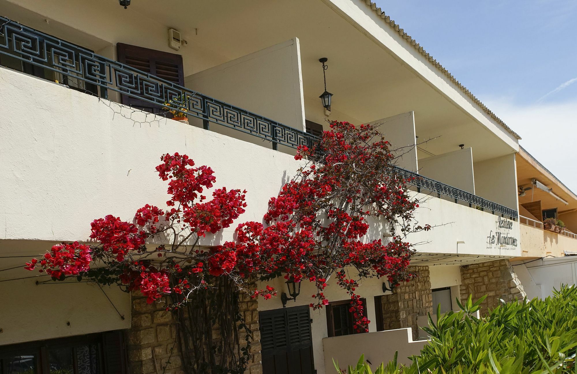 Residence Les Mandariniers Hyères Exterior foto